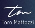 Logo de Toro Mattozzi