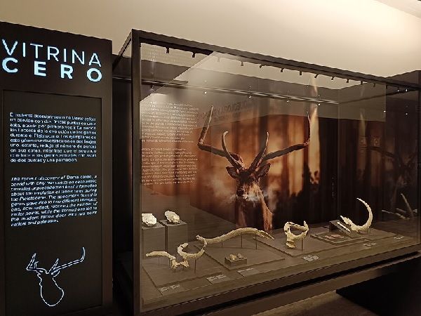 Museo Arqueológico Nacional exhibición
